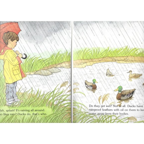 Rain a Great Day for Ducks Moncure Friedman Childrens Press 1990 Softcover - Picture 4 of 4